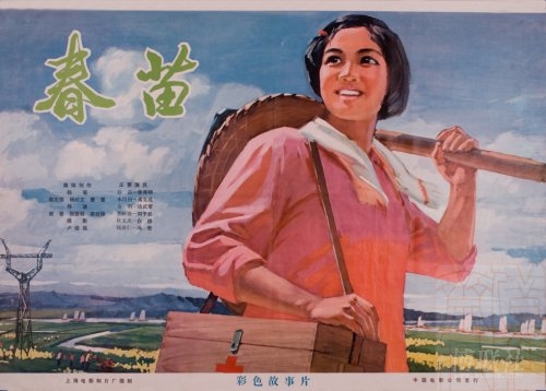UniversityofBuckingham公共管理文凭证书